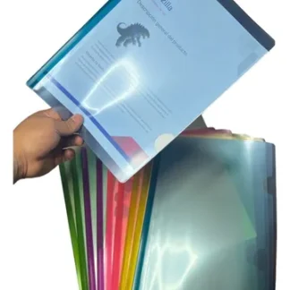 FOLDER COSTILLA PLASTICO SARMIK CARTA