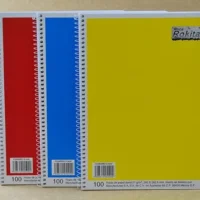 CUADERNO PROFESIONAL ROCA RAYA