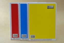 CUADERNO PROFESIONAL ROCA CUADRO 7MM