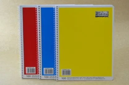 CUADERNO PROFESIONAL ROCA RAYA